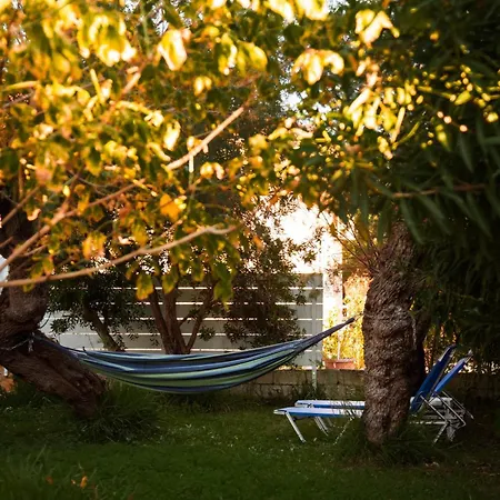 Dada's Nyaraló Argyrades