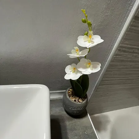 Dada's Semesterbostad *